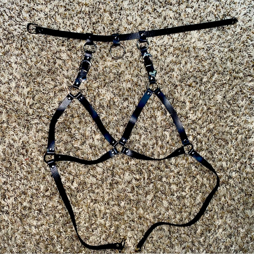 Harness with choker